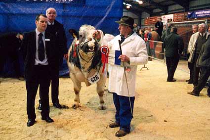 Bank of Scotland sponsor, Judge J Hall, Champion with Exhibitor John Green.